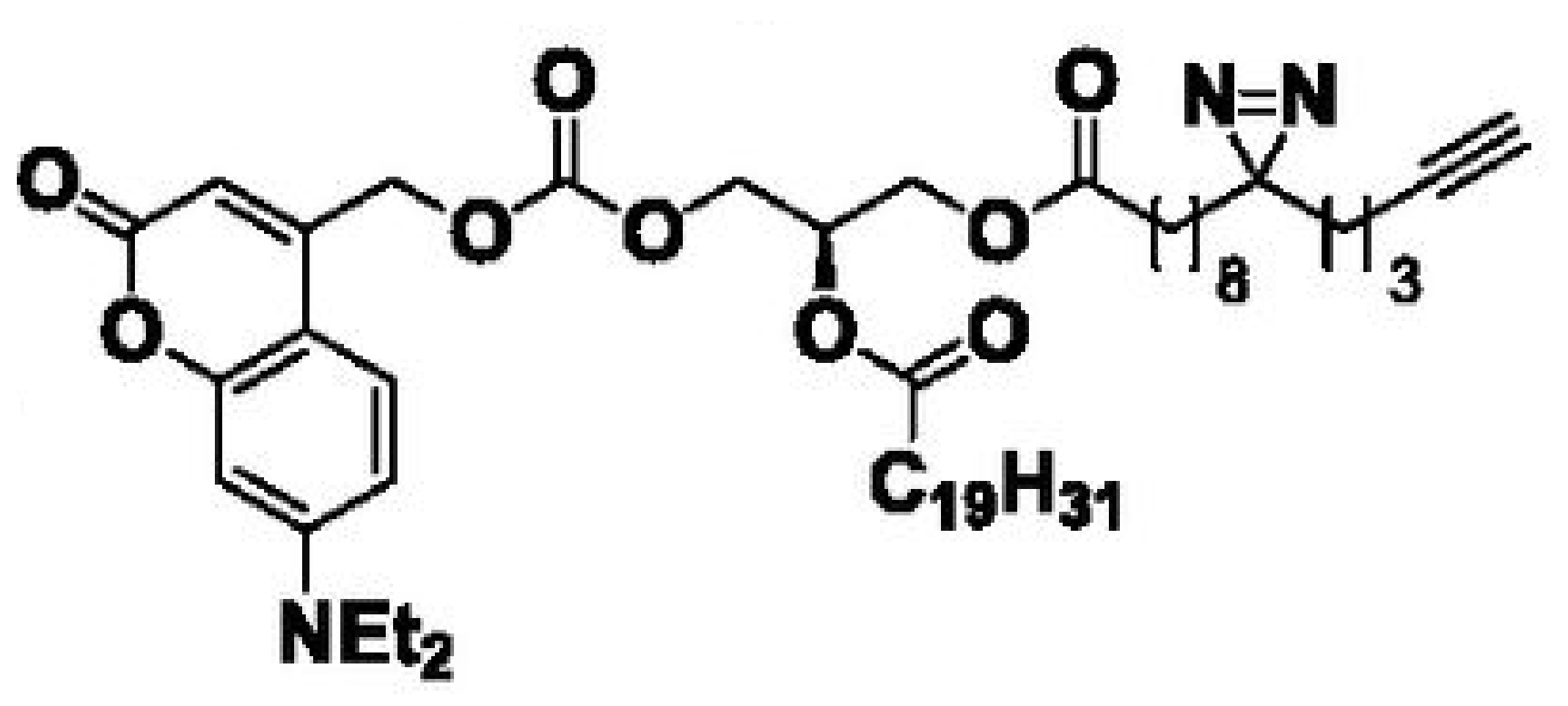 Trifunctional Diacylglycerol