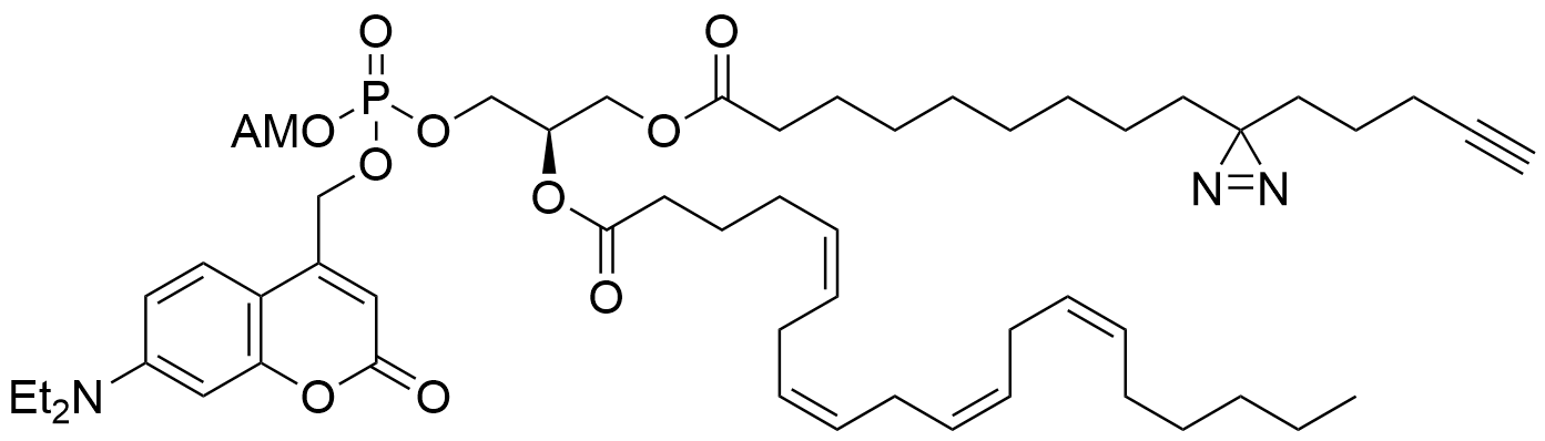 Phosphatidic Acid