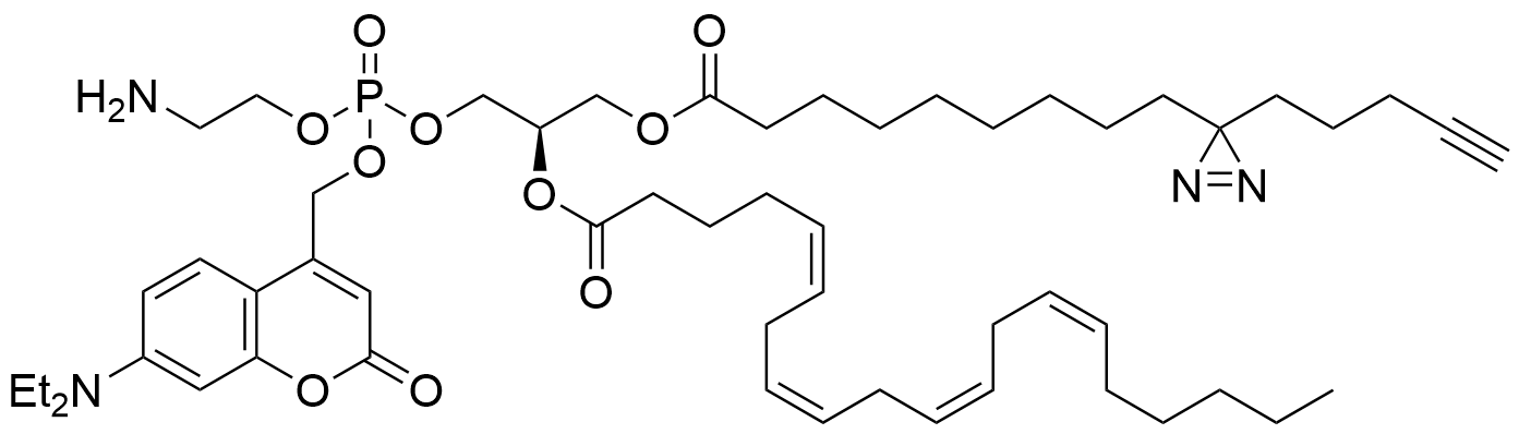 PPhosphatidylethanolamine